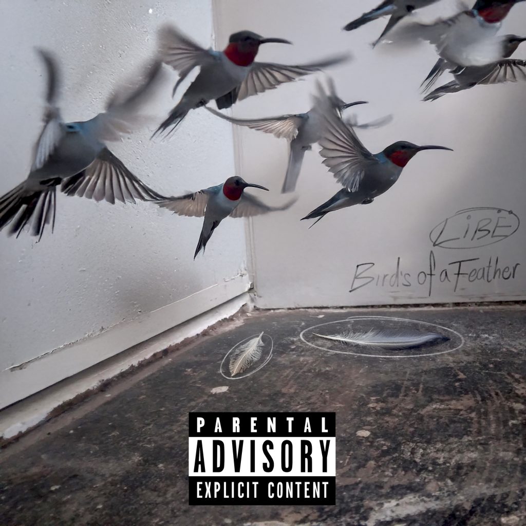 Birds of a Feather